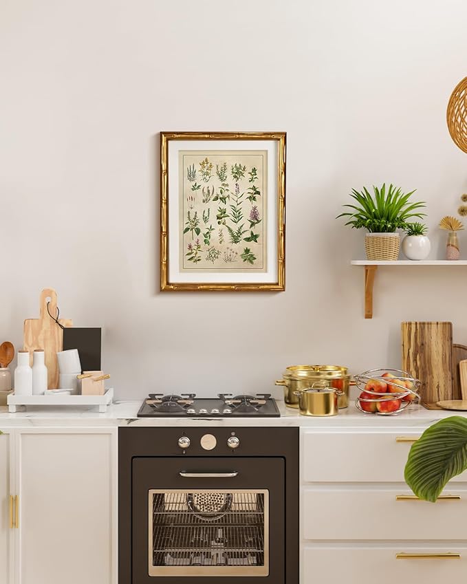 HUARCEY Vintage Botanical Chart Wall Art Gold Framed 11x14, Antique Style Herb Plant Illustration Canvas Print, Classic Apothecary Natural History Artwork Kitchen Study Farmhouse Office Home Decor