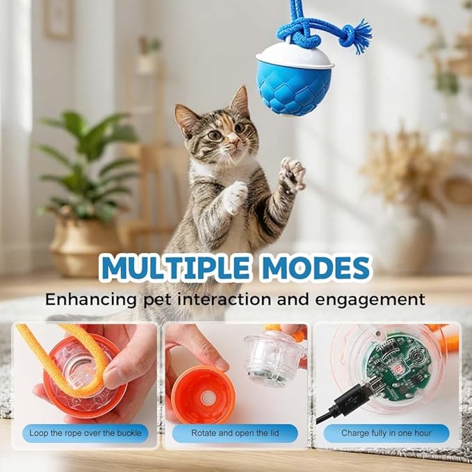 Interactive Dog Toys - 2026 Upgraded Motion Activated Automatic Rolling Ball Toys for Small/Medium/Large Dogs Balls for Boredom to Keep Them Busy with USB Rechargeable (Orange)