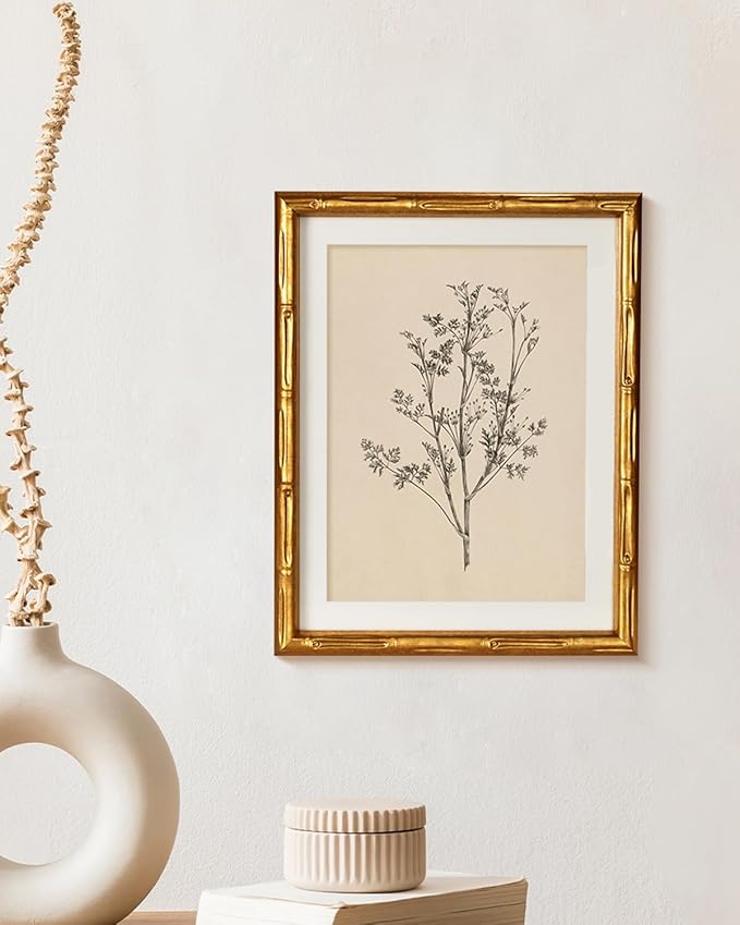 Vintage Botanical Gold Bamboo-Textured Framed Canvas Wall Art, 11x14 Inch Black White Plant Illustration Sketch Print, Classic Minimalist Line Artwork Home Office Bathroom Bedroom Decor