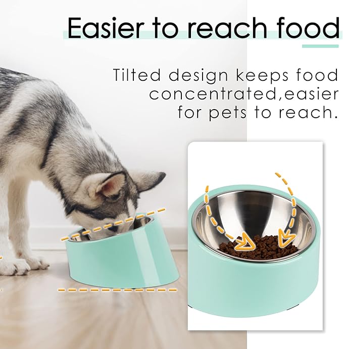 SuperDesign Mess Free 15° Slanted Bowl for Dogs and Cats, Tilted Angle Bulldog Bowl Dog Feeder, Non-Skid & Non-Spill, Easier to Reach Food S/0.5 Cup Teal
