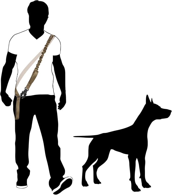 ICEFANG Tactical Dog Leash,K9 Training Walking Bungee Lead with 2 Control Handle,Heavy Duty Quick Release Metal Clasp,for Medium Large Breed (Teal, 6 FT)