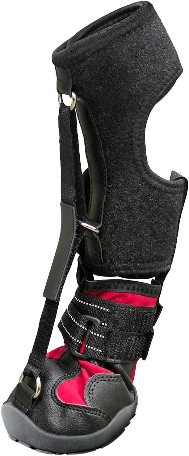 Toe Grips for Senior Dogs,Strap-On Drop Foot Brace for Dogs— Dog Knee Pads,Corrective Dog Shoes to Safely Lift Toes for Foot Issues, Arthritis, and improving Walking gait in Dog(XL)