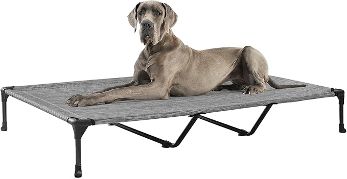 Veehoo Outdoor Elevated Dog Bed Large Sized Dogs, XXL Cooling Raised Dog Cots Beds Training Platform Off Ground Hammock with Breathable Mesh, No-Slip Feet, 59"x37.5", Black Silver