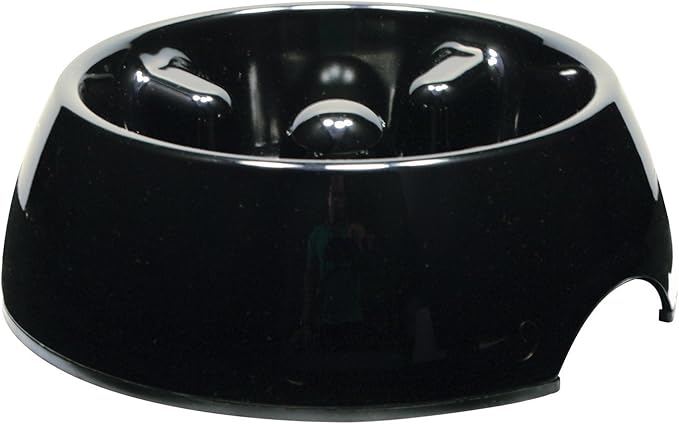 Dogit Dog Bowl Slow Feeder for Wet or Dry Dog Food, Go Slow Anti-Gulping Dog Dish, Black, L