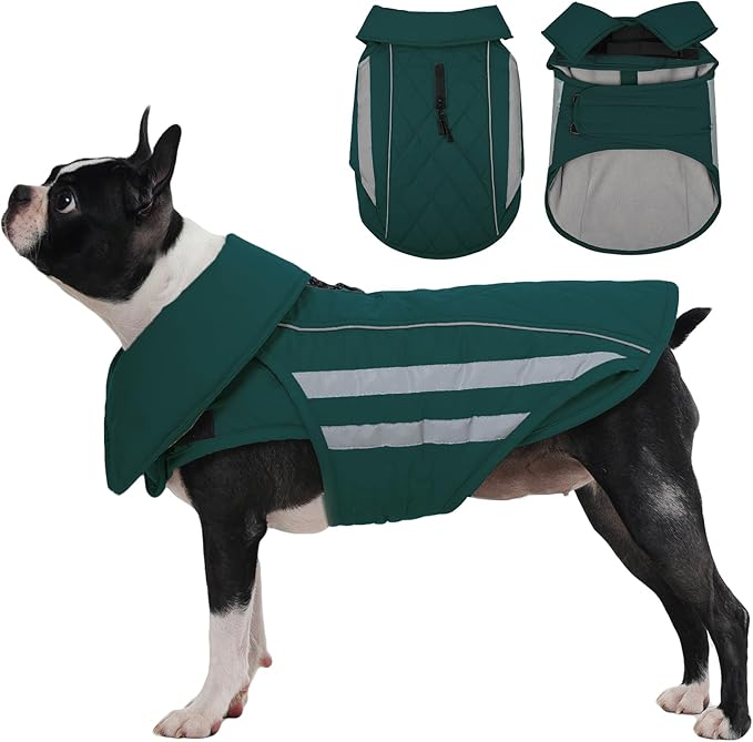 IECOii Dog Coat - Waterproof Winter Coats for Dogs, Windproof Vest for Light Rain, Snow Cold Weather, Reflective & Adjustable Jacket Medium Pets, Warm Fleece Lined Jackets, Dachshund, Green, Size M