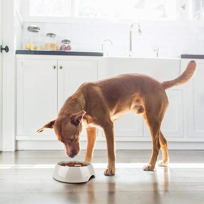 Flexzion Slow Feed Dog Bowl - Anti-Slip Slip Resistant Base Pet Animal Puppy Feeder Food Water Container Holder Dish Storage Anti-Gulping Three Columns Style 600ML, 2.5 Cup, 20oz Capacity
