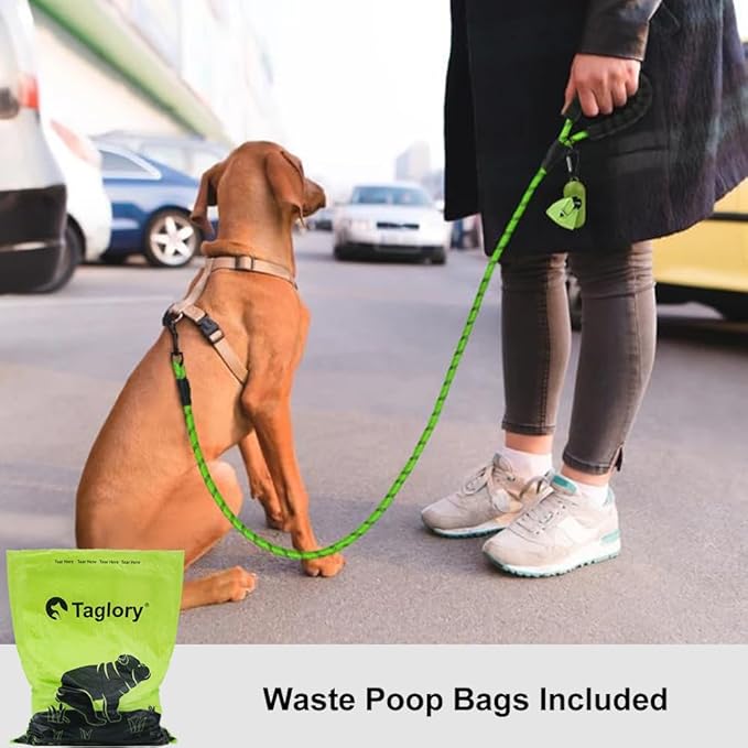 Taglory Rope Dog Leash 6FT with Comfortable Padded Handle, Highly Reflective Threads Leash for Small Dogs, 3/8 inch, Green