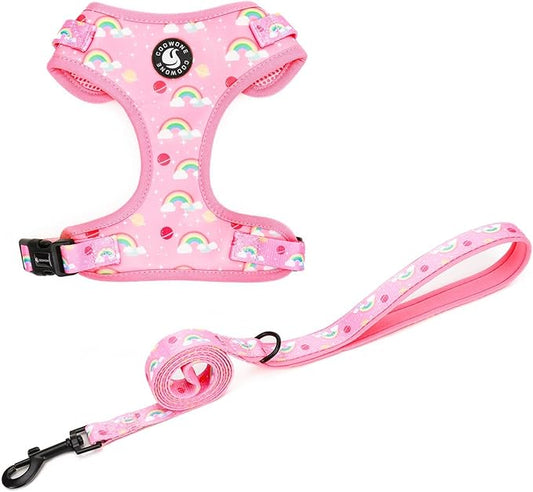 Dog Cat Harness and Leash Set, Puppia Soft Mesh Padded and Adjustable Puppy Vest Cute Dog Clothes Escape Proof Easy Walk Pet Accessories