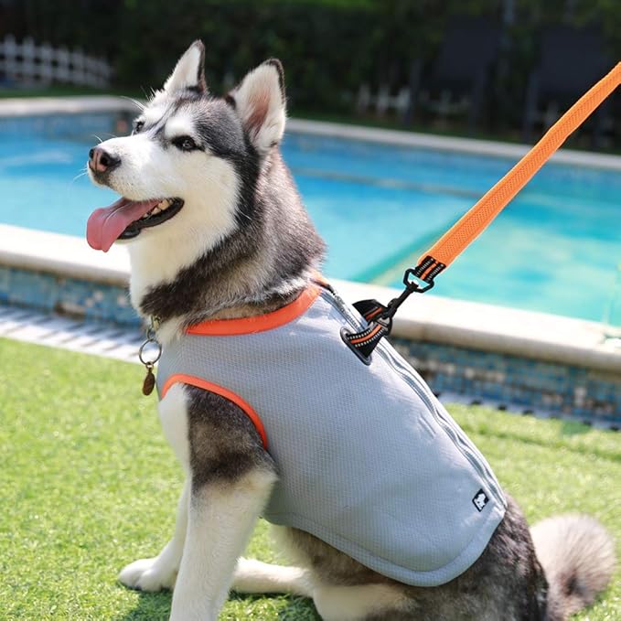 Truelove Dog Cooling Vest Harness Cooler Jacket with Adjustable Zipper for Outdoor Hunting Training and Camping Green