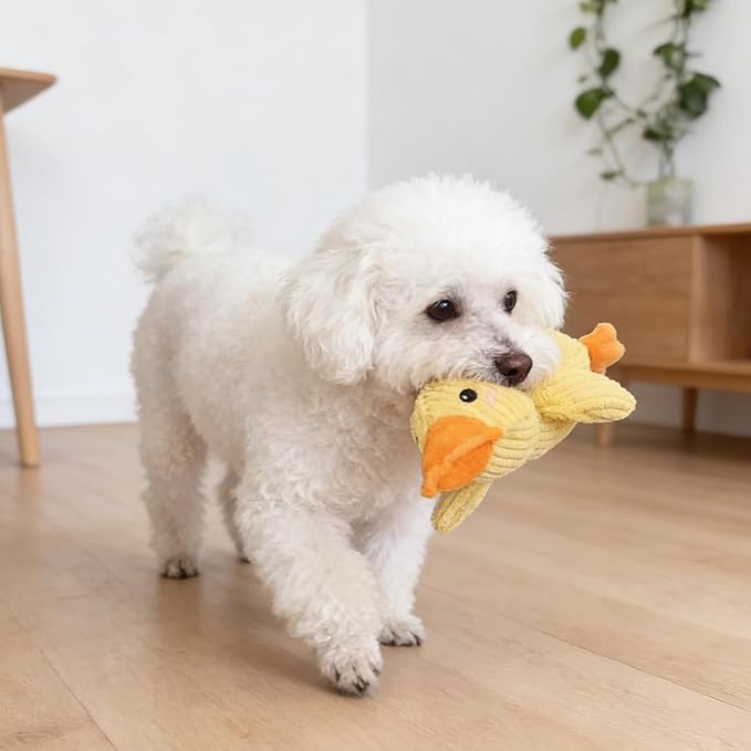 Quacking Duck Dog Toy - Interactive Plush Chew Toy with Realistic Squeaky Sounds for Anxiety Relief - Fun Play Toy for Cats & Dogs, Pet Use Only (Yellow, Medium)