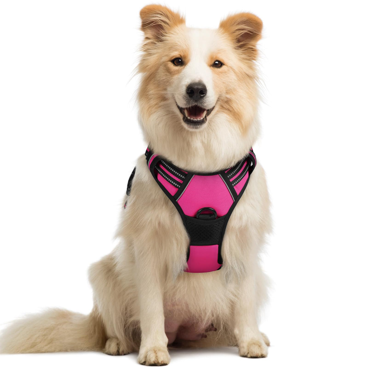 rabbitgoo Dog Harness, No Pull Medium Sized with 2 Leash Clips - Image 1