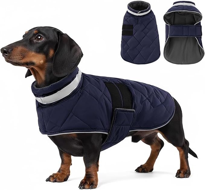 Dog Winter Coat Warm Padded Puppy Jacket Windproof Water Resistant Clothes for Small Medium Large Pets Christmas Sweater Outfit Vest(DarkBlue, M)