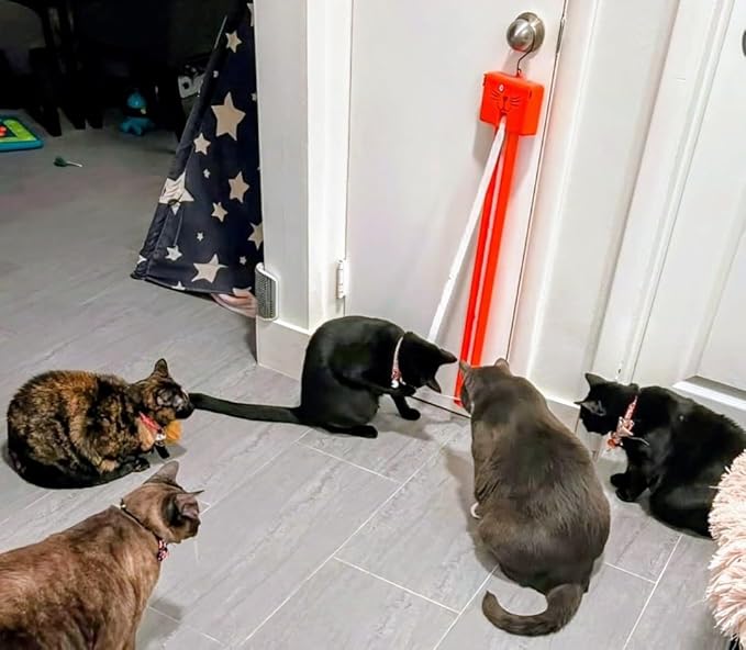 MOODY PET Fling-AMA-String Cat Toy