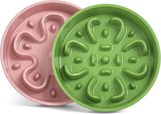 LE TAUCI Dog Slow Feeder Bowl,3 Cups Ceramic Maze Pattern for Large Breed,Green and Pink
