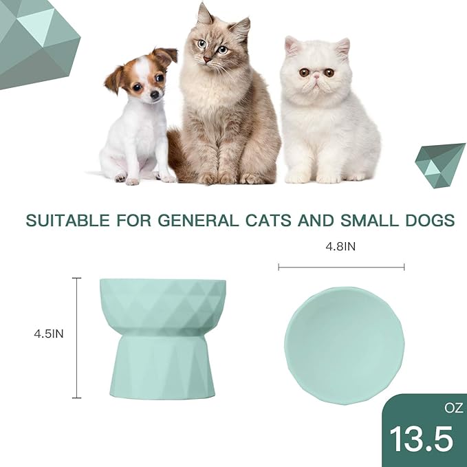 Frewinky Cat Bowls,Ceramic Cat Bowls Anti Vomiting,Raised Food and Water Bowl Set for Cats and Small Dogs,13.5 Oz,Green