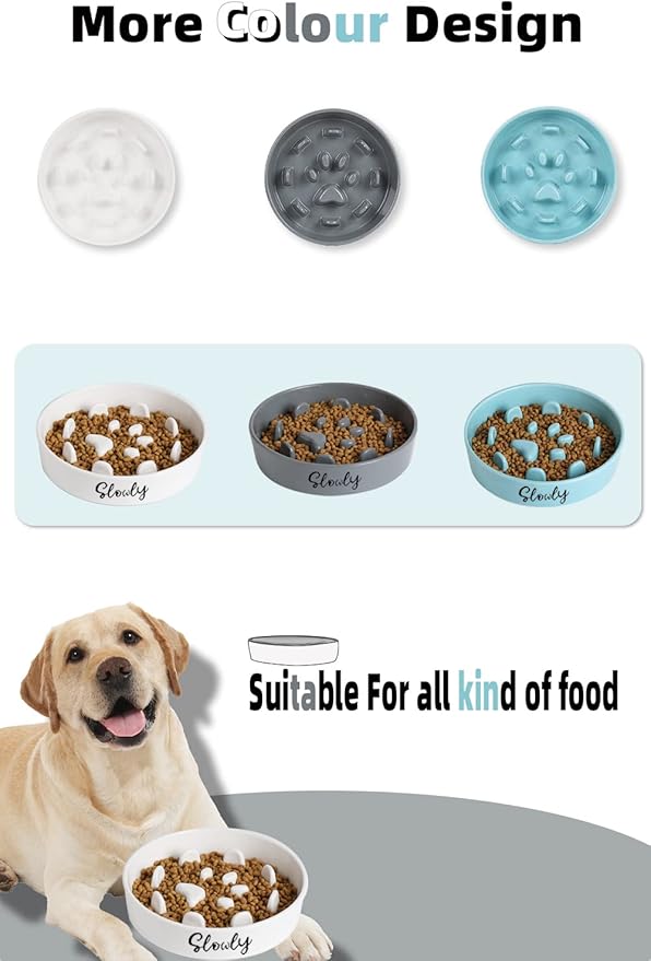 Slow Feeder Dog Bowls, Farmhouse Ceramic Fun Slow Eater Bowl for Medium Sized Dog, White