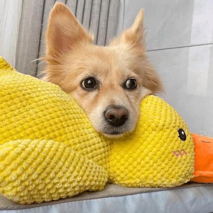 CalmDuck™ - Soothing Dog Toy - Lovehappypets (M)