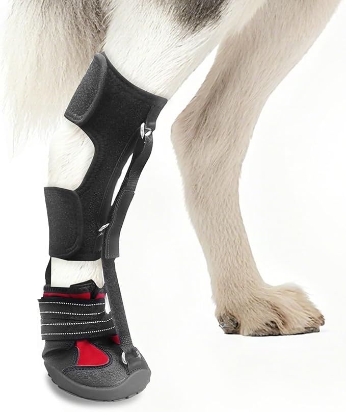 Strap-On Drop Foot Brace (No Knuckling Boot Brace) for Dogs— Dog Knee Pads,Corrective Dog Shoes to Safely Lift Toes for Foot Issues, Arthritis, and improving Walking gait in Dogs(L)