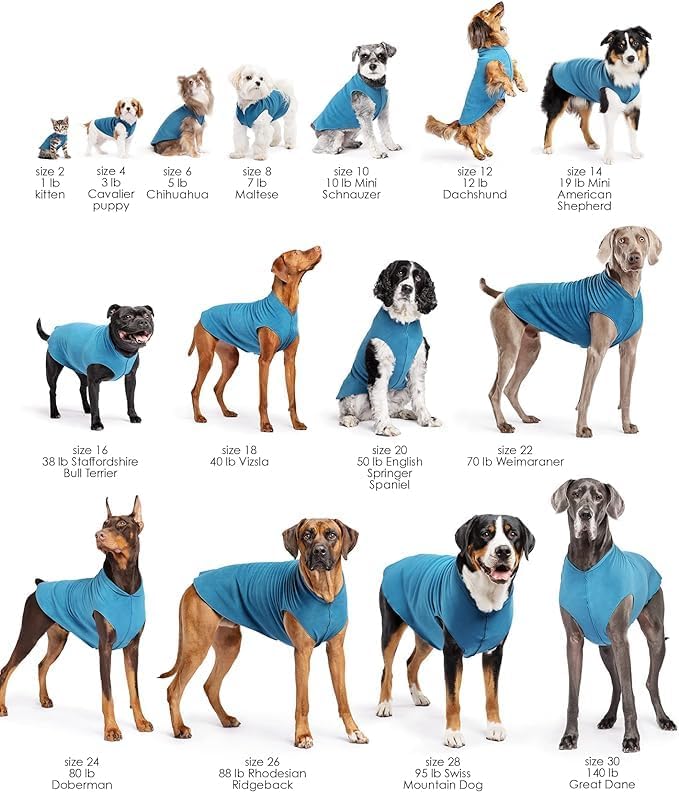 Goldpaw Dog Sun Shirt with UV Protection - Lightweight, Cooling Sun Protection Clothing for Dogs - Reduce Heat Absorption - Pet Clothes Made in The USA - Machine Washable - Pistachio Green - Size 8