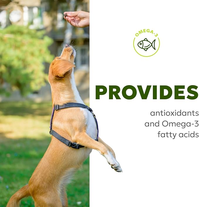 Dog Allergy & Itch Relief Soft Chews – Omega-3, Biotin, Collagen, Fish Oil – Reduces Shedding, Supports Healthy Skin & Coat, Year-Round Allergy Comfort – 60ct