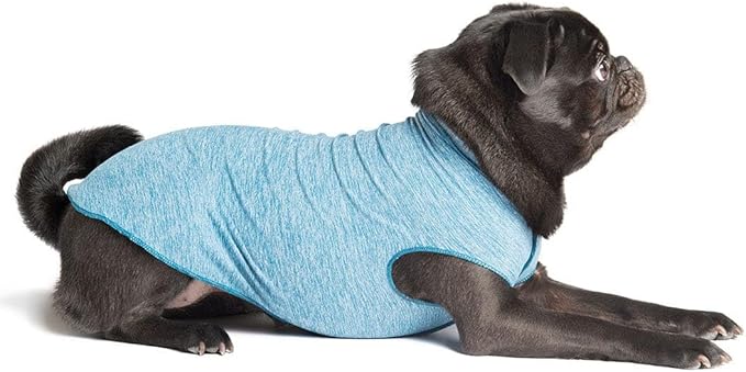 Goldpaw Dog Sun Shirt with UV Protection - Lightweight, Cooling Sun Protection Clothing for Dogs - Reduce Heat Absorption - Pet Clothes Made in The USA - Machine Washable - Ocean Blue - Size 8