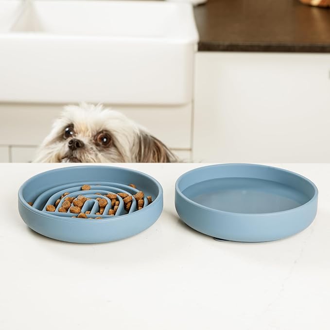 Should We Go? Slow Feeder for Dogs, The Slowdown Bowl Silicone Slow Eating Mealtime Solution with Modern Lick Mat Design, Reduces Gulping, Fits 1 Cup, 6” Across x 1.25” Tall, Small-Tan