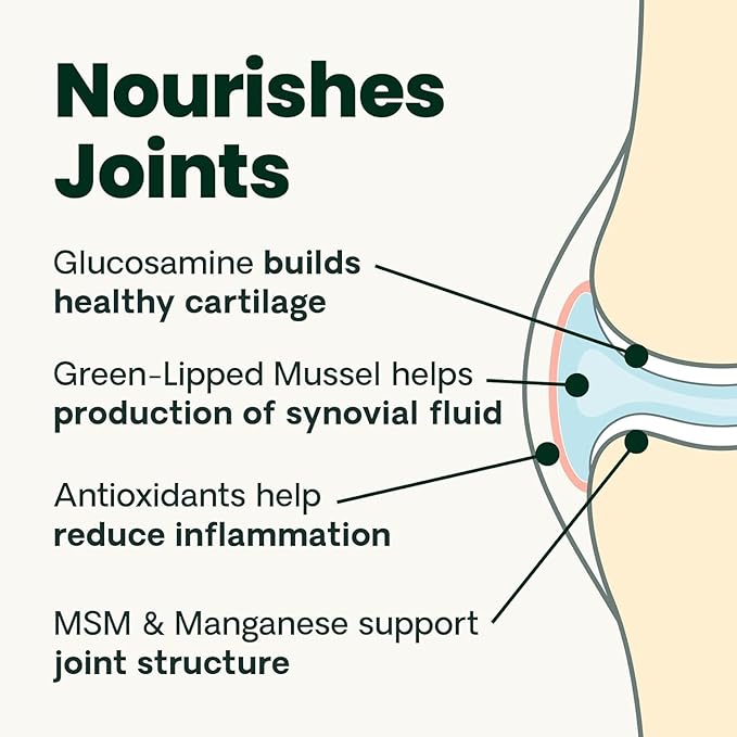 VetriScience Ultimate Strength Hip & Joint Supplement for Dogs, GlycoFlex Plus – MSM, Chondroitin & Green-Lipped Mussel Chews for Mobility, Flexibility, Comfort & Support, Peanut Butter Flavor 120 Cnt