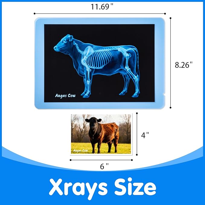 Farm Animal Xrays – 10 Pcs Animal Science Kit for Kids, Light Table Accessories for Vet Role Play & Preschool Learning