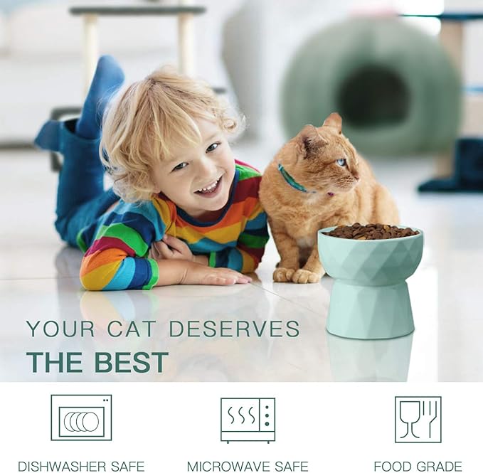 Frewinky Cat Bowls,Ceramic Cat Bowls Anti Vomiting,Raised Food and Water Bowl Set for Cats and Small Dogs,13.5 Oz,Green