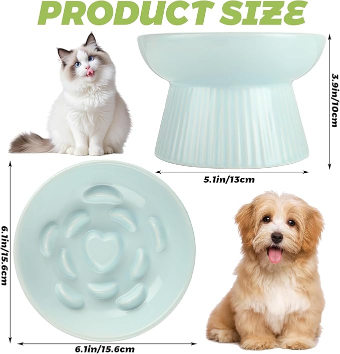 2 Pack Raised Cat Slow Feeder, Elevated Slow Feed Dish for Cats and Small Dogs, Ceramic Slow Feeder Cat Bowl, No Spill High Edge for Dry/Wet Food(Blue, Green)