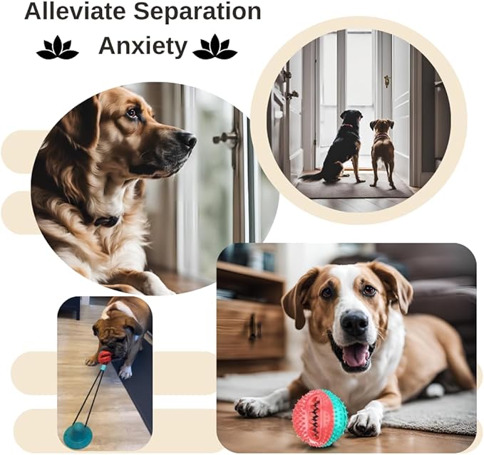 Interactive Dog Ball with Bell for Aggressive Chewers and Seperation Anxiety. Dog Toothbrush. Toy for Teething Puppys. Color May Vary