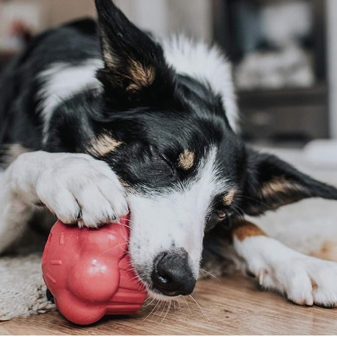 SodaPup MuttsKickButt Cupcake – Durable Dog Treat Dispenser & Chew Toy Made in USA from Non-Toxic, Pet Safe, Food Safe Natural Rubber for Mental Stimulation, Problem Chewing, Calming Nerves & More
