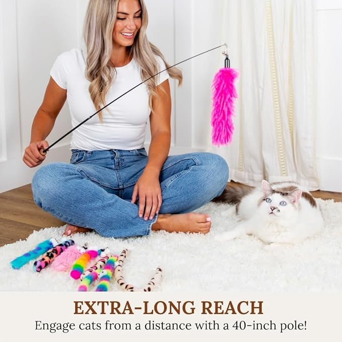 Parent Listing cat Toy (E)