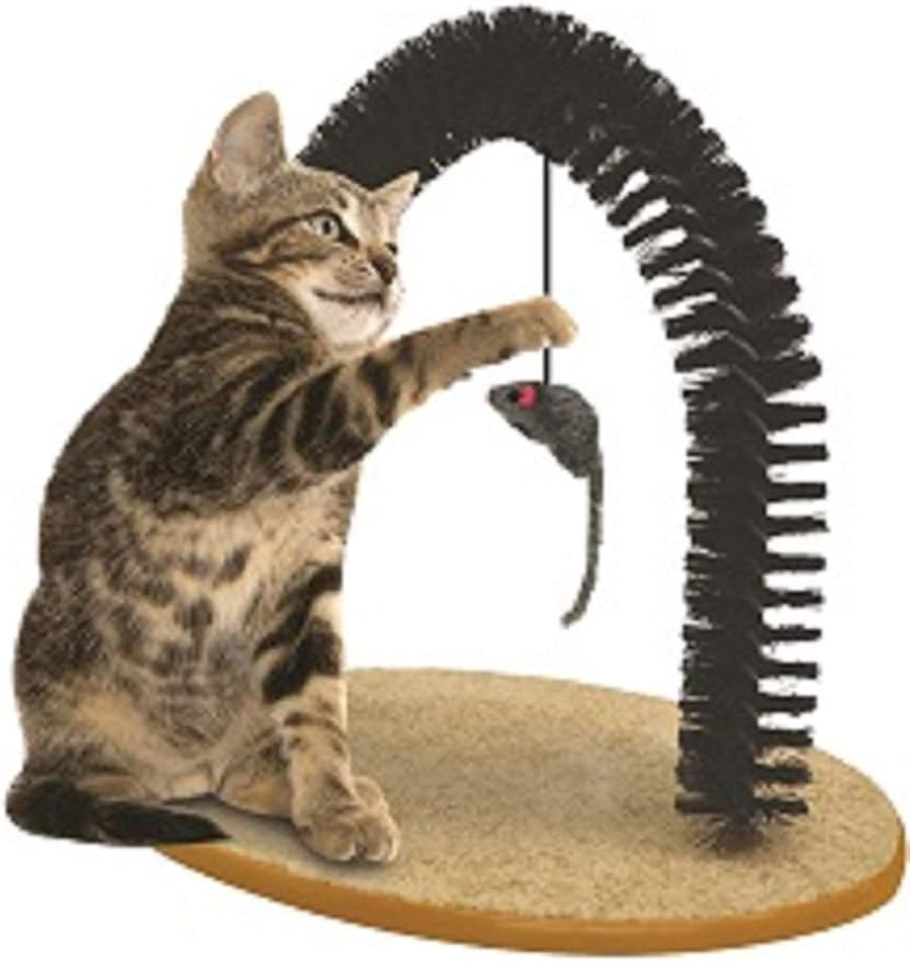 Pet Parade Self-Grooming Playtime Cat Arch - Helps Prevent Hairballs & Controls Shedding - Includes Hanging Toy, Black