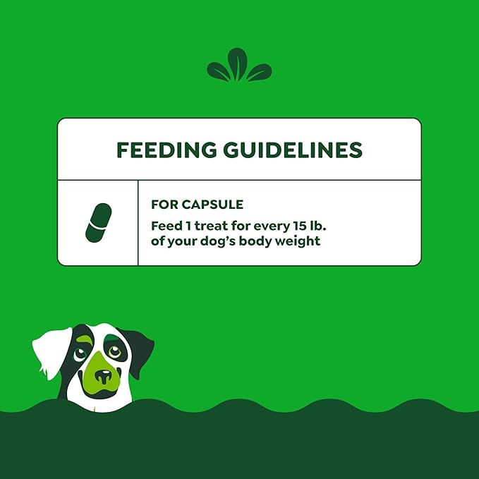 Greenies Pill Pockets for Dogs Large Size, Dog Treat Pouch for Capsule Medication, Cheese Flavor, 7.9 oz. Pouch