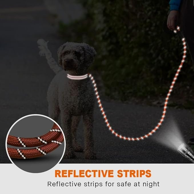 Taglory Rope Dog Leash 6 FT with Comfortable Padded Handle, Highly Reflective Threads Leash for Small Dogs, 3/8 inch, Orange