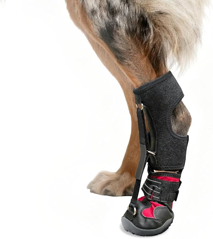 Strap-On Drop Foot Brace (No Knuckling Boot Brace) for Dogs— Dog Knee Pads,Corrective Dog Shoes to Safely Lift Toes for Foot Issues, Arthritis, and improving Walking gait in Dogs(L)