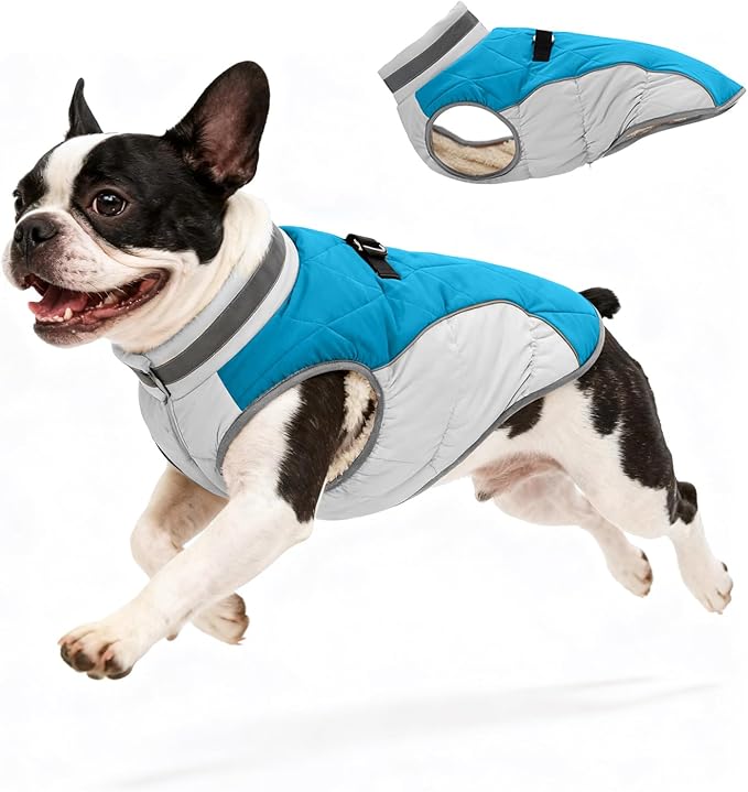 Dog Coat for Small Dogs, Adjustable Dog Jackets for Cold Weather, Reflective Winter Coat with Built-in Harness, Snowsuit Fits Dogs 5-8 lbs and Up, Size XS Blue