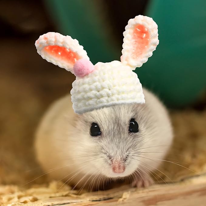 Kajaia 10 Pcs Hamster Hat Small Animals Cute Tiny Hat Mini Hand Knitted Hats for Snakes Pets Bearded Dragon Guinea Pig Bunny Costume Accessories Easter Holiday Parties(Fresh Style)