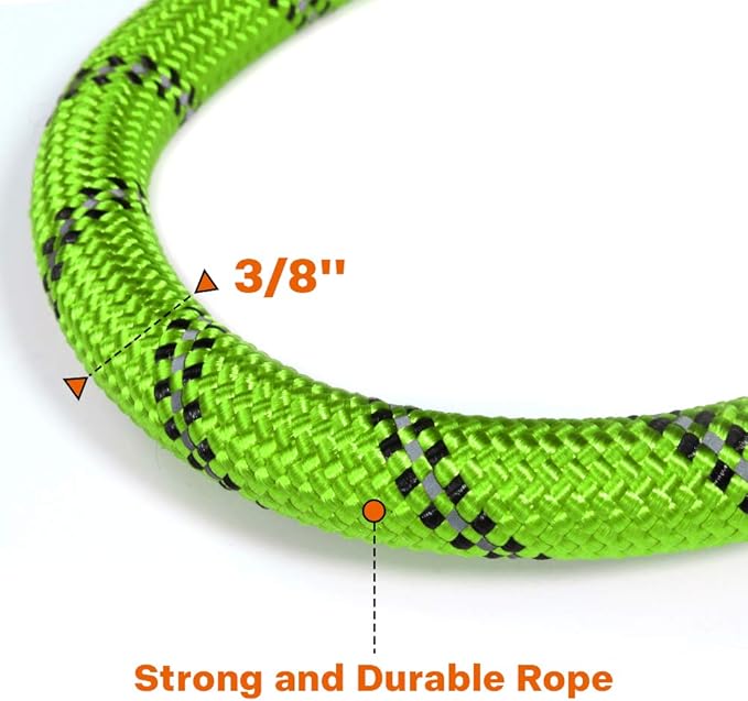 Taglory Rope Dog Leash 4 FT with Comfortable Padded Handle, Highly Reflective Threads Leash for Small Dogs, 3/8 inch, Green