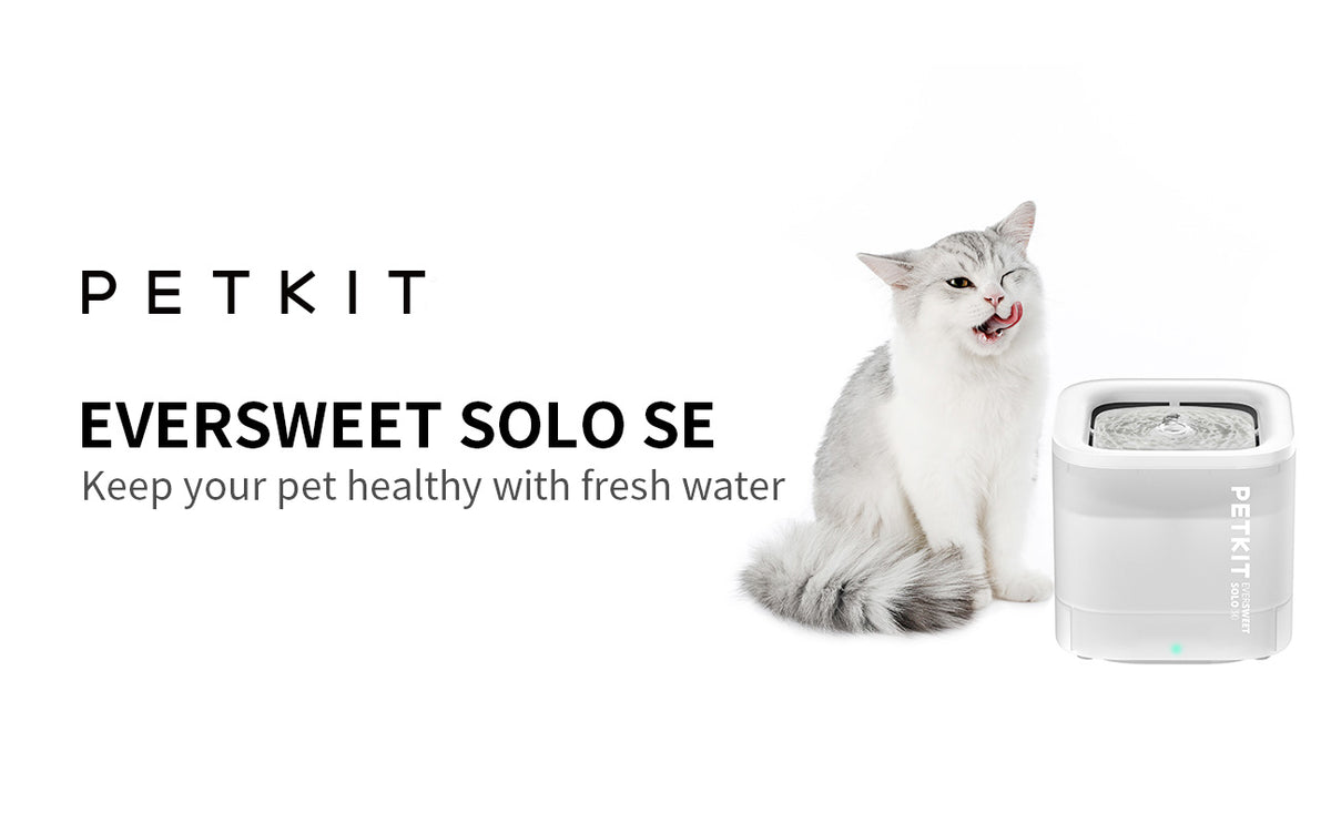 PETKIT Eversweet Solo SE Cat Water Fountain 65oz/1.85L Wireless Pump - Image 8