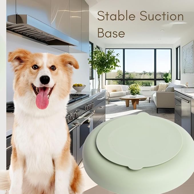 Modern Rainbow Pet Slow Feeder Bowl, Silicone Slow Feeder for Dogs & Puppies, Slow Eating, Modern Lick Mat Design, Reduces Gulping, Dishwasher Fit, for All Breed, Durable Mealtime Puzzle (Terre Amber)