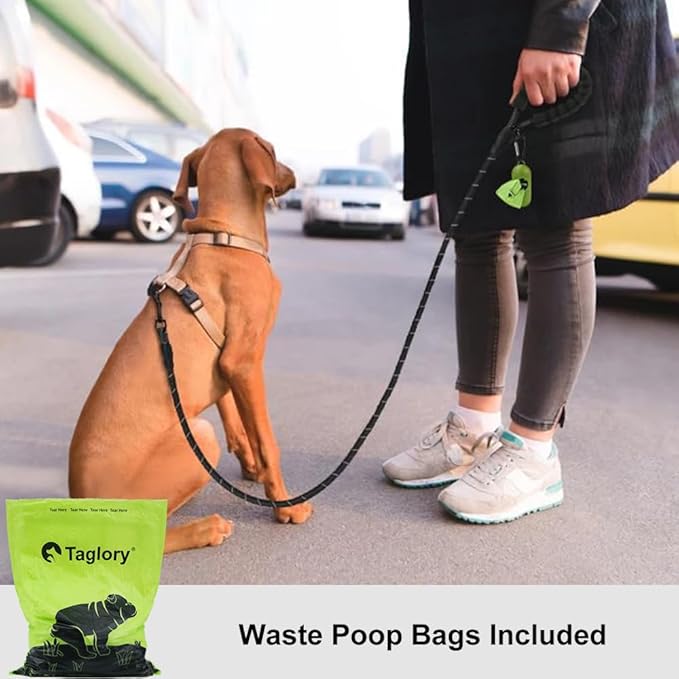 Taglory Rope Dog Leash 4 FT with Comfortable Padded Handle, Highly Reflective Threads Leash for Small Dogs, 3/8 inch, Black