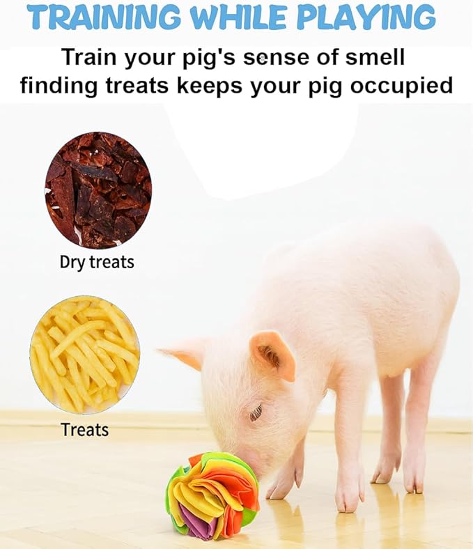 Pig Snuffle Mat and Snuffle Ball for Pigs – Pig Enrichment Toys for Mini Pigs, Potbellied Pigs & Farm Use – Interactive Foraging & Rooting Toy, Slow Feeding Pig Toys Accessories