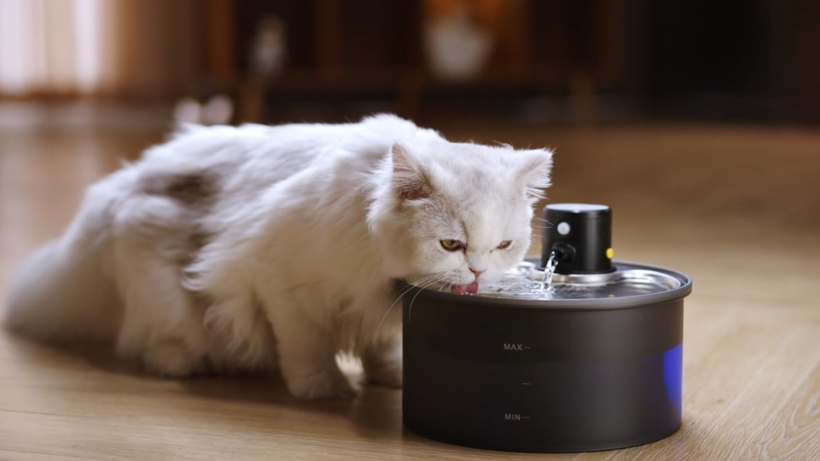 Wireless Cat Water Fountain Lid + Water Pump