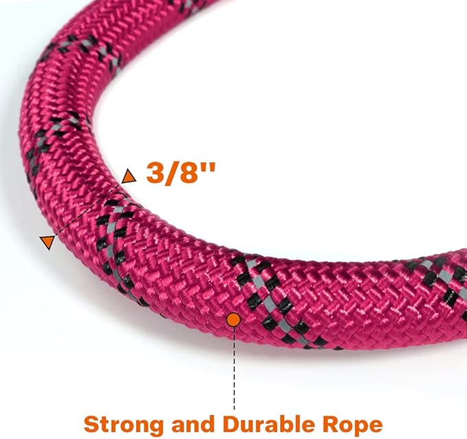 Taglory Rope Dog Leash 4 FT with Comfortable Padded Handle, Highly Reflective Threads Leash for Small Dogs, 3/8 inch, Hotpink