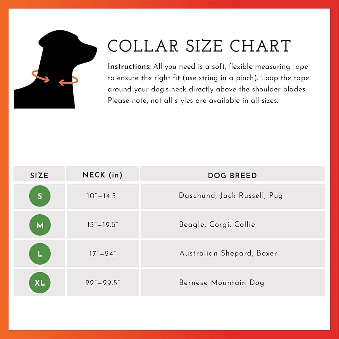 SPOT THE DOG! Reflective Dog Collar - Adjustable Pet Collars, Safe, Durable, Comfortable Dog Walking Accessories for Large Dog, Hunting Dog, Puppy, Lightweight Boy, Girl Dog Collars (Neon Pink, M)
