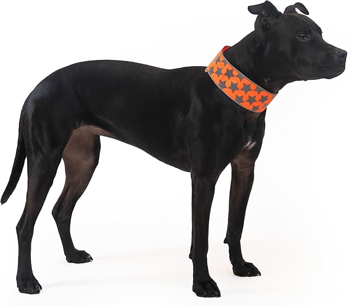 SafetyPUP XD Reflective Dog Collar – Blaze Orange Dog Collar, Adjustable Closure for a High Visibility Customizable Collar for Goats, Dogs, Deer, and Livestock. Reflective Stars Enhance Night Safety