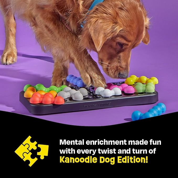 Dog Puzzle Treat Toy — Large, 14 Hidden Compartments, Mental Enrichment Game