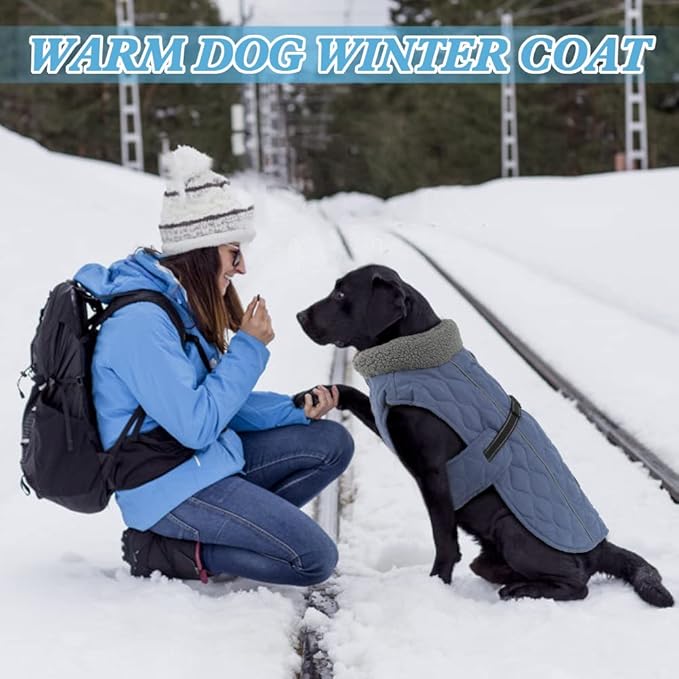 Dog Winter Jackets, Furry Collar Warm Coats for Dogs with Fleece Lining, Reflective Cold Weather Doggie Jackets with Leash Hole and Buckle, Windproof Pet Coats for Large Dogs, Blue L